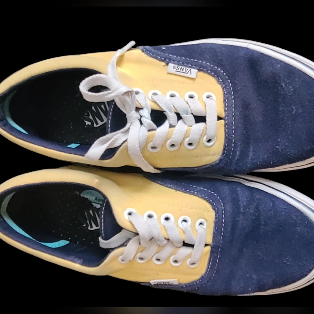 Suede and fabric vans